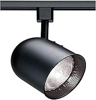 Vista 47 de TH205 R20 cabezal de carril cilíndrico de Nuvo, color negro, TH281, 150.00watts, 120.00 volts