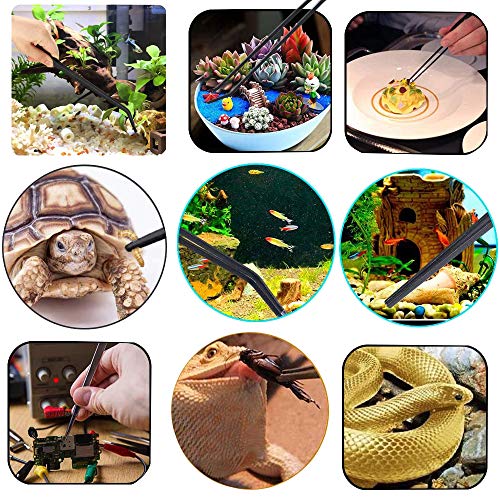 3Pcs Reptile Feeding Tongs Long Tweezers Cricket Clamp Bug Scooper and 2Pcs Reptile Food Bowl Lizard Gecko Food Water… - Image 8