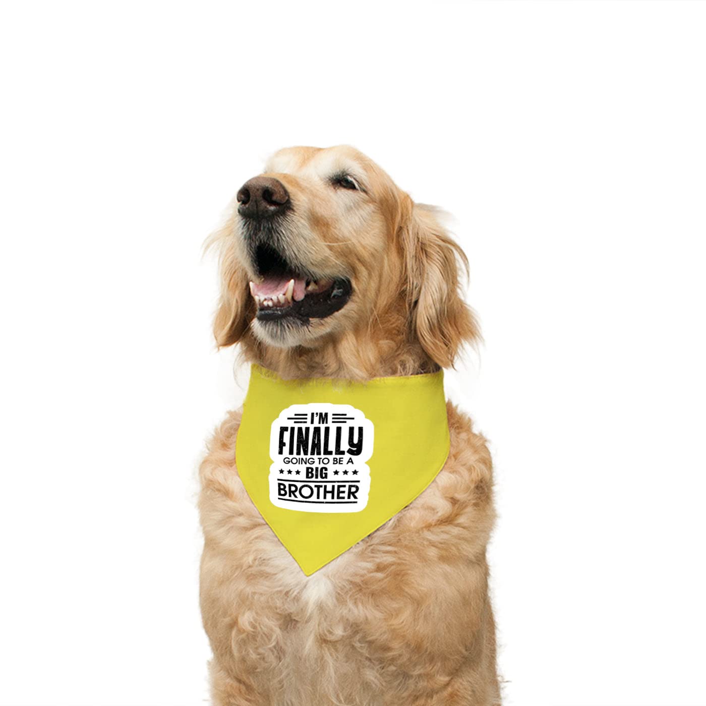Ruse Reversible Dog Bandana I m Finally Going to be a Big Brother Printed 100% Cotton Yellow and Charcoal Graphite Striped Dog Scarf/Dog Gift Adjustable Snap Button for Dogs/Large (B09RQW44V5) Amazon Price History, Amazon Price Tracker