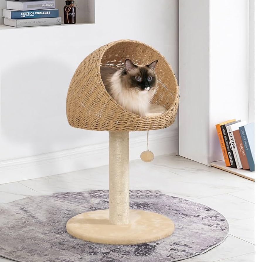 Amazon | SENZANSUI[最新]キャットタワー ドーム型猫ハウス 猫ち
