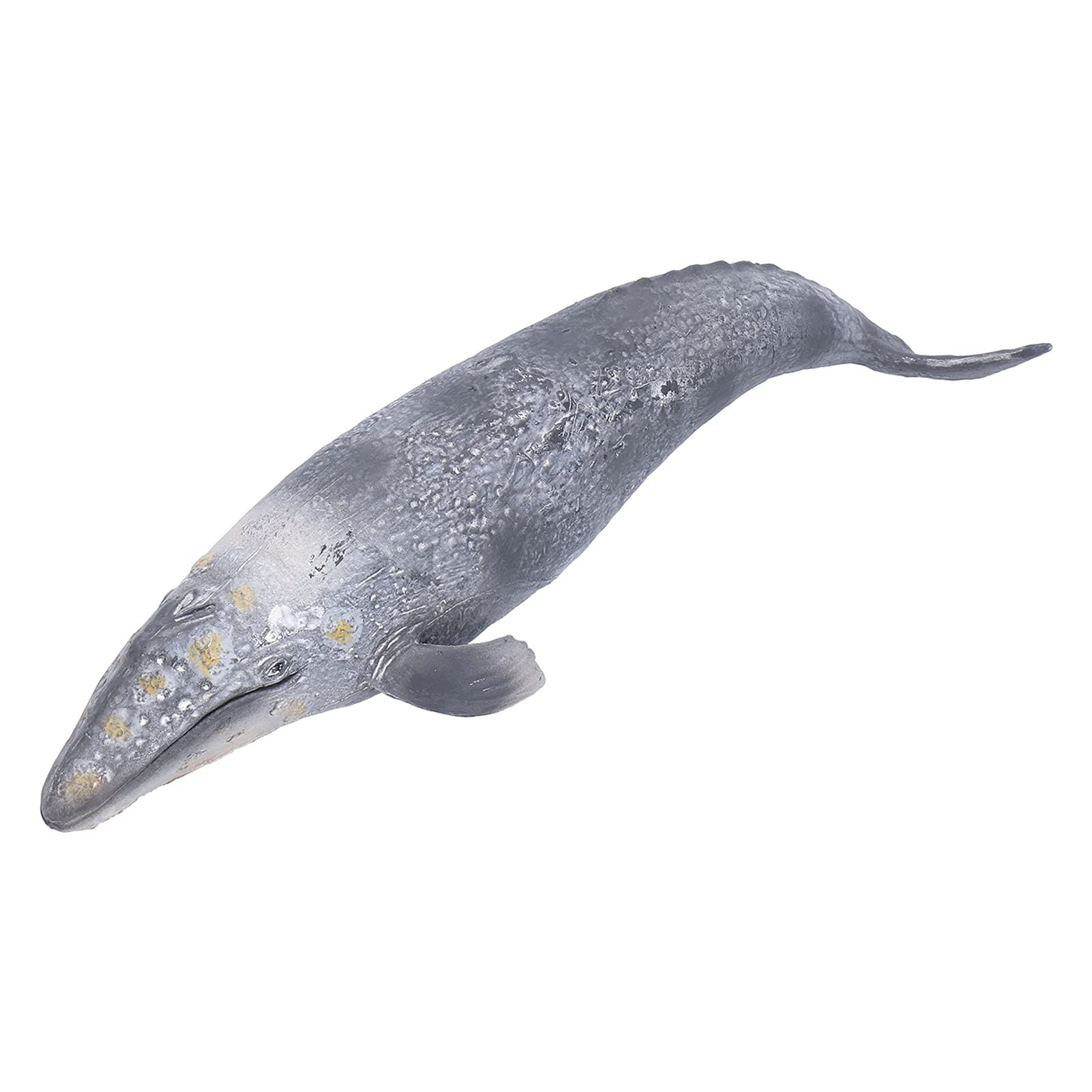 Buy Ocean Animals, Realistic Sea Creature Cognitive Toy Sea World Whale