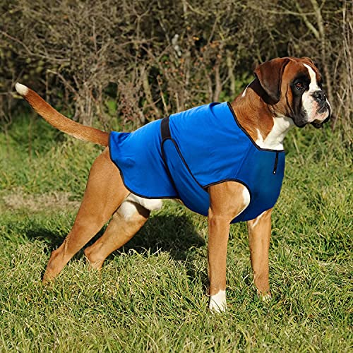 Lautus Pets Hundekühlwesten – Leichte Sommerjacke für Kleine Hunde mit Reißverschluss & Klett – Einfach An-/Auszuziehen für Spaziergänge & Draußen