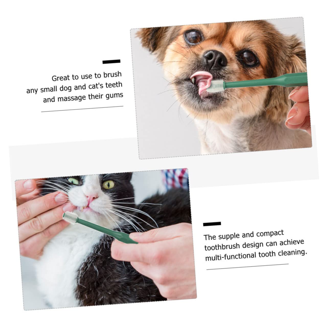 INOOMP 12stücke Handheld Haustierzahnbürste Zahnpflege Für Hunde Und Katzen Ergonomisches Design Wiederverwendbare Kunststoffzahnbürste Zur Gründlichen Mundreinigung
