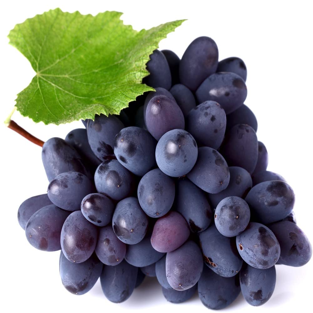 Fresh Grapes Bangalore Blue, 500 g Amazon.in Grocery & Gourmet Foods