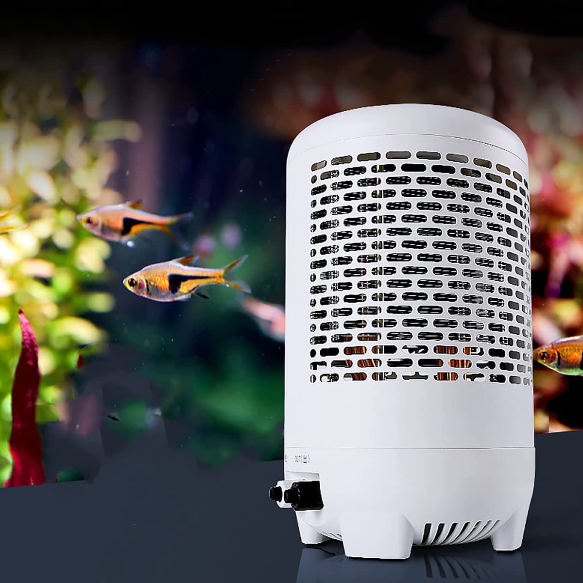 Macchina per Il Riscaldamento e Il Raffreddamento Digitale dell'acquario, Chille per Acquario, Termostato per refrigeratore per Acquario da 45 Litri, Temperatura Regolabile, Displa