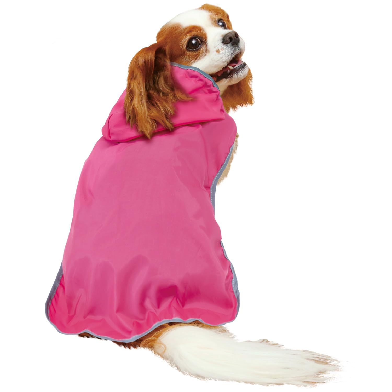 ⭐︎lihn0629ALPHAICON 犬用レインコート ピンク