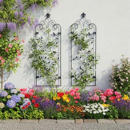 Treillis muraux pour plantes grimpantes afin d'éviter l'encombrement au sol de vos pots