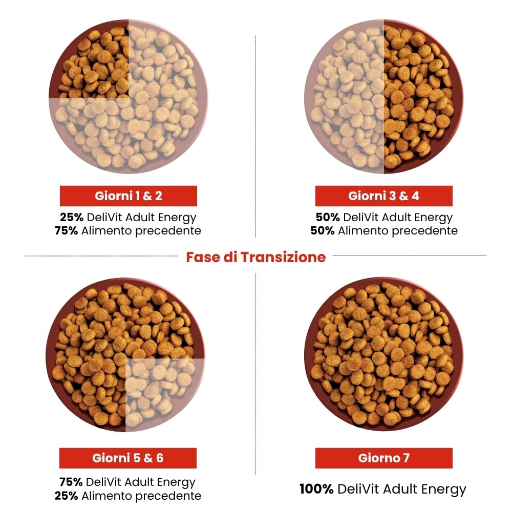 Crocchette per Cani Adulti Attivi – Alta Energia e Proteine – Delivit Adult Energy – 40 kg (2 confezioni da 20 kg) – Made in Italy