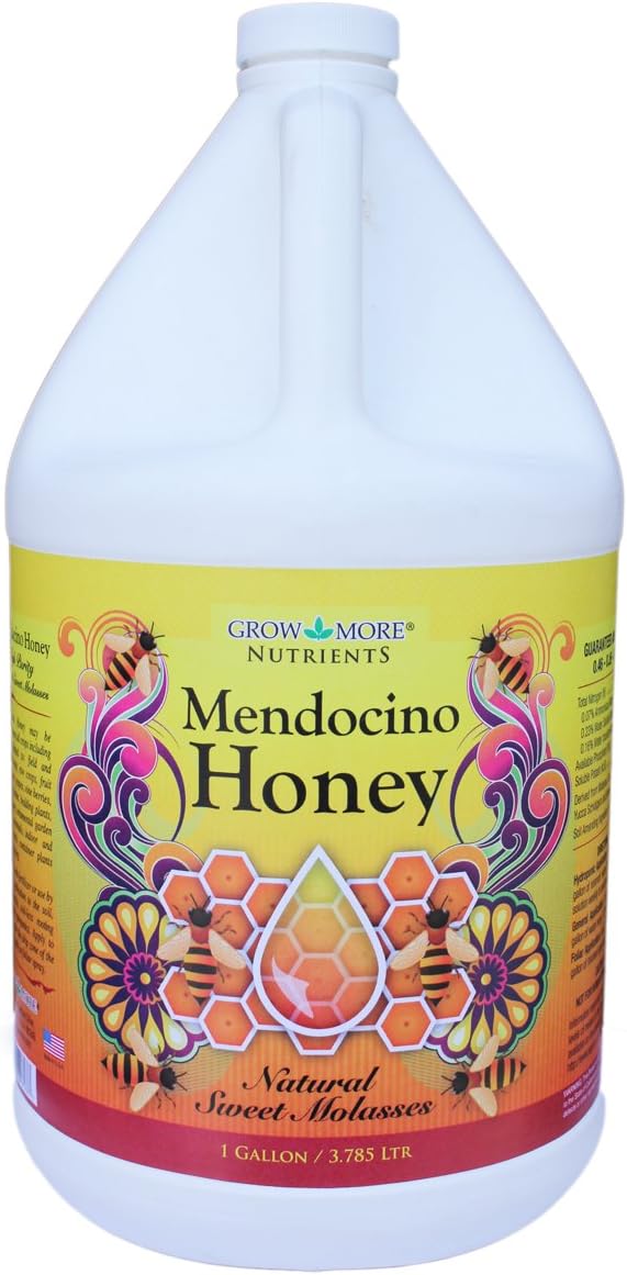 7537 Mendocino Honey, 1-Gallon