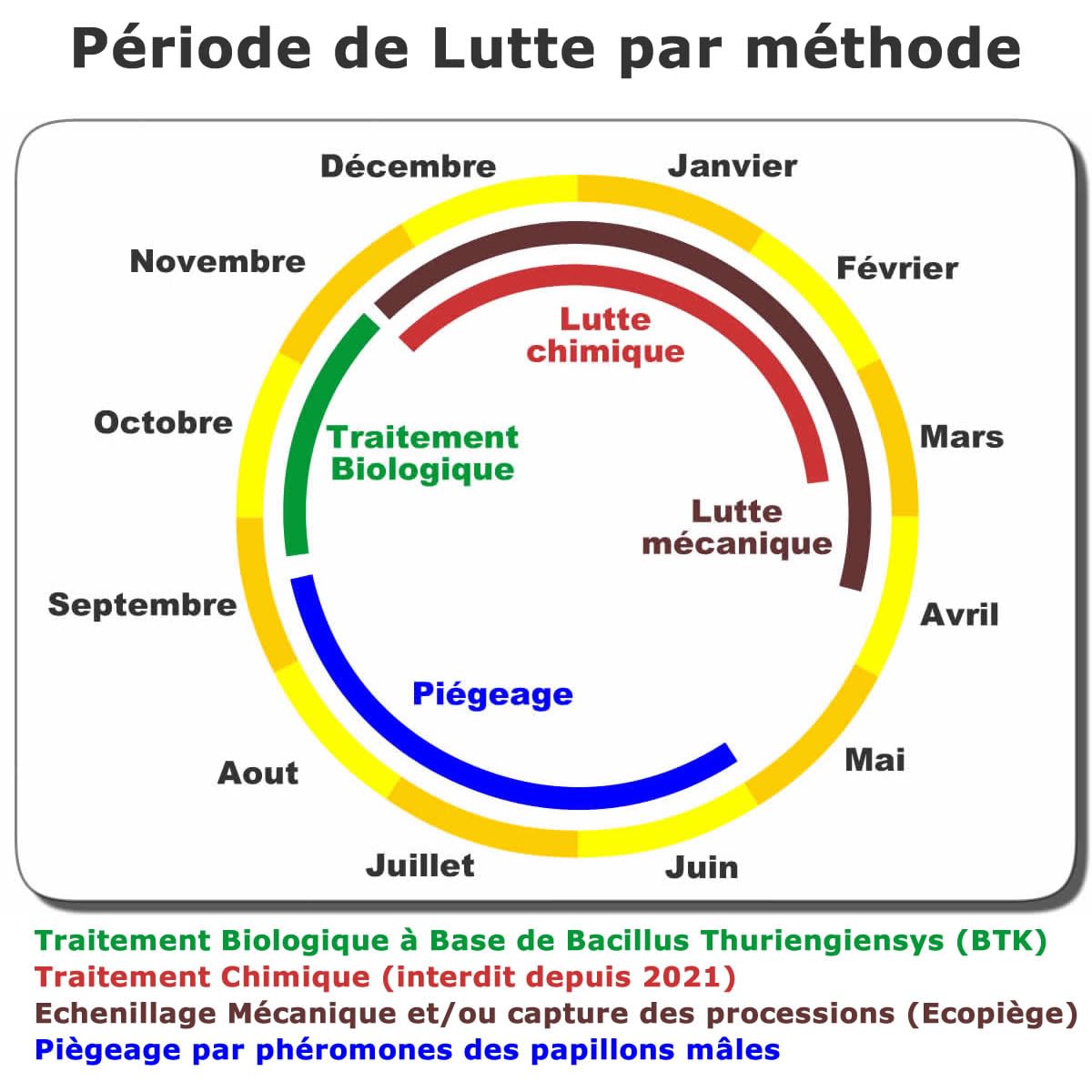 SOLUPHERO - Kit Piège Entonnoir Funnel Trap + phéromone Longue durée Contre la Chenille de la processionnaire du pin - Efficace 6 Mois (200 Jours) - Lutte Biologique - A Installer de Juin à Septembre