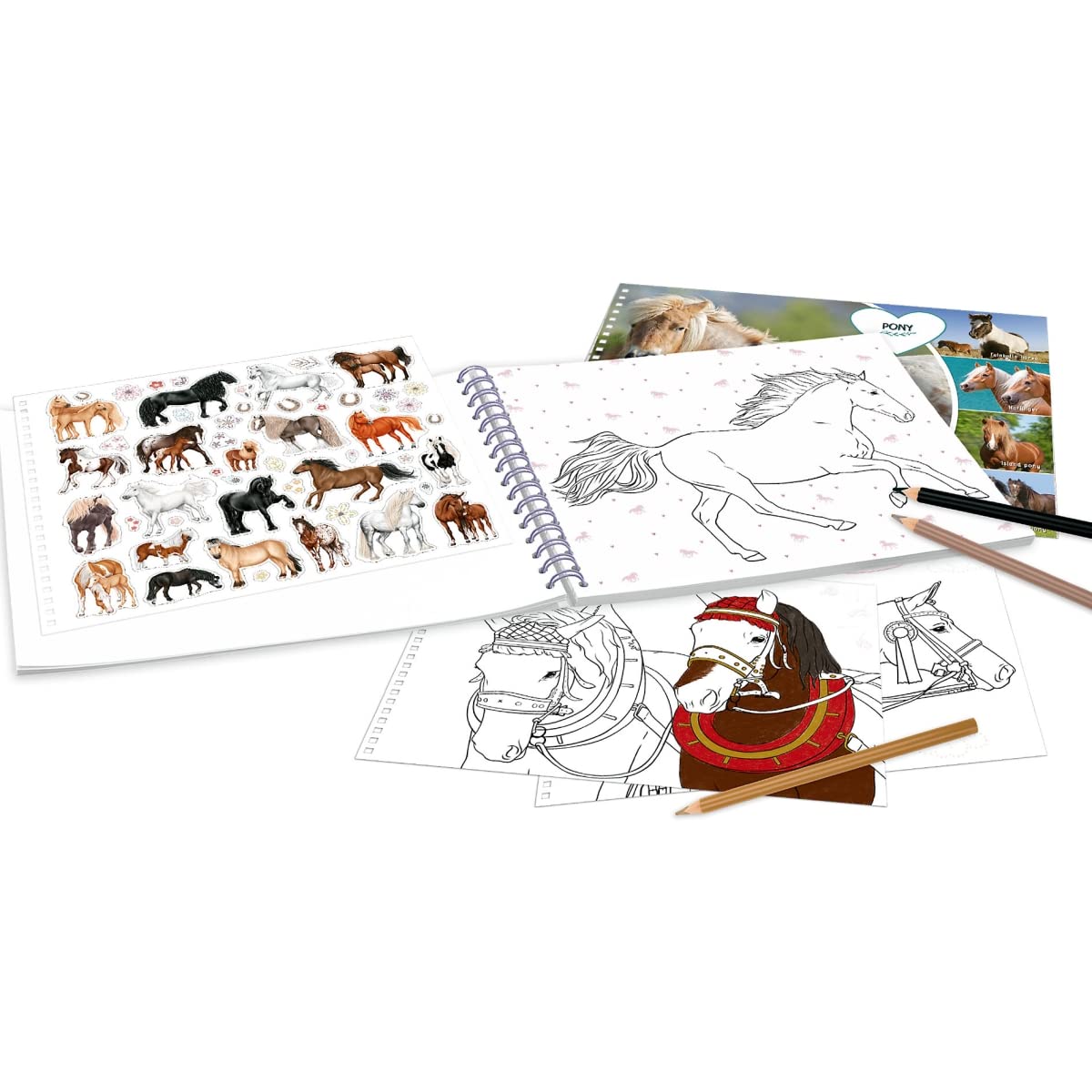 Depesche Miss Melody – Libro De Pegatinas De Caballos Con 24 Páginas Y 11 Hojas De Adhesivos – Diseño Y Creatividad
