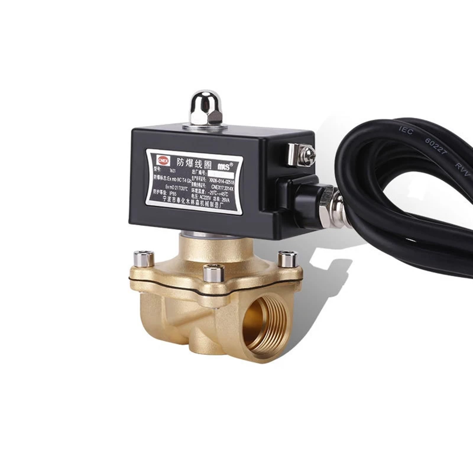 HDPHCRIUN Brass Explosion-Proof Solenoid Valve 24V 110V 220V 12V Normally Closed is Suitable for Explosive environments(OneSize,220VAC)