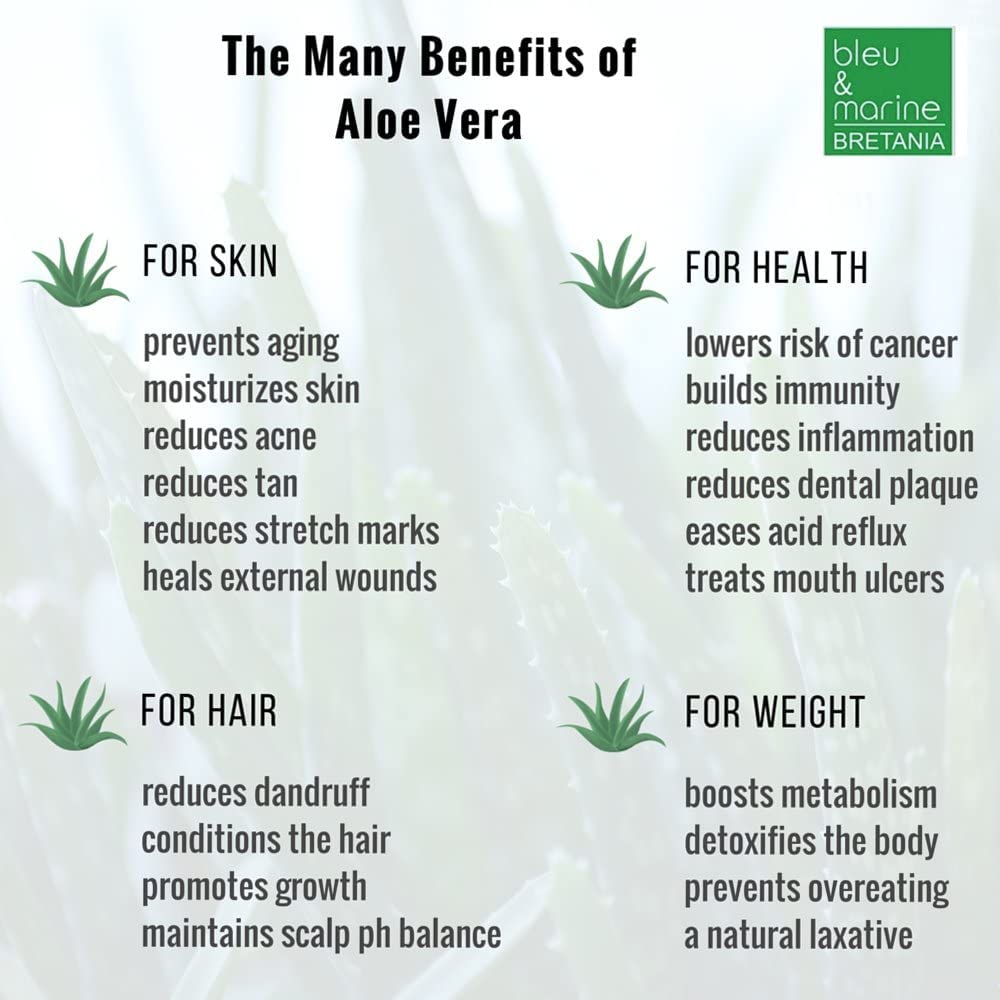 100 Natural Aloe Vera Gel 5 kg Face Moisturiser Hair Gel Body Lotion