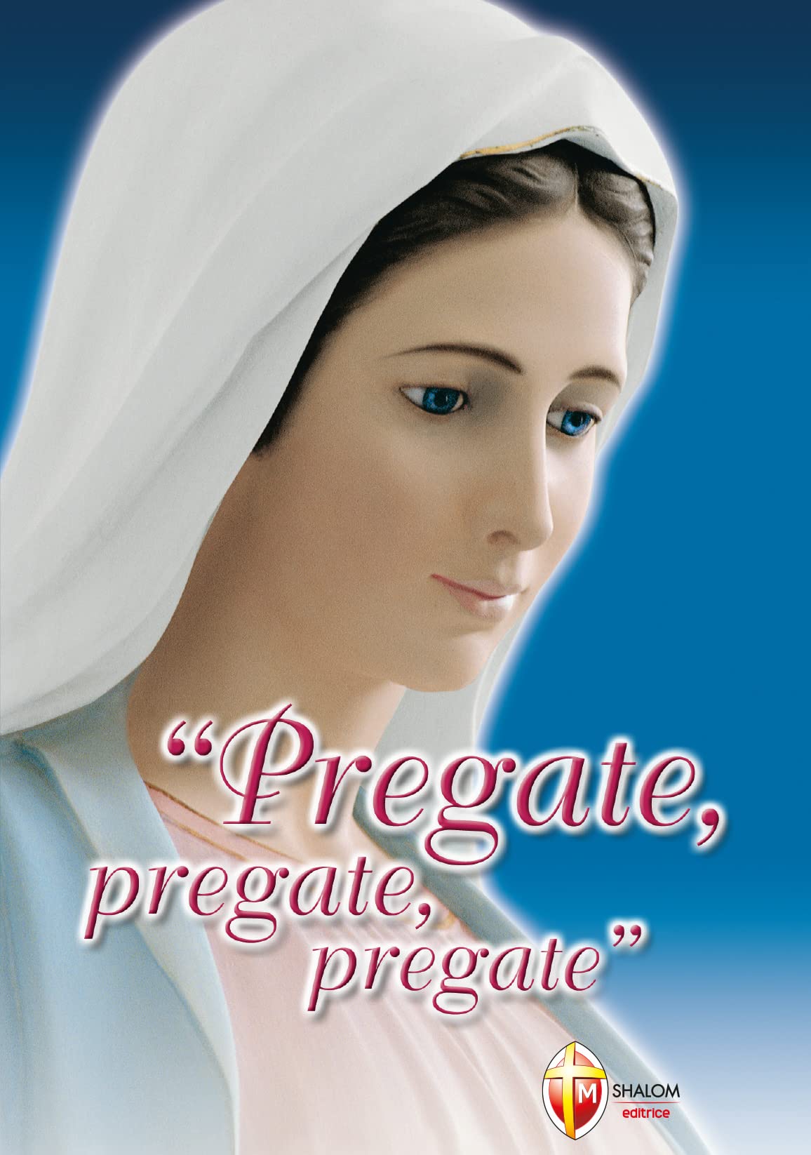 Pregate, pregate, pregate. Raccolta di preghiere. Edizione pregiata