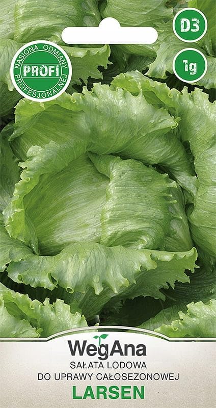 WegAna Semillas de Lechuga Iceberg Larsen 1g, Lechuga Iceberg Verde Robusta, Semillas de Hortalizas, Cultivo de Semillas, Semillas para Invernadero