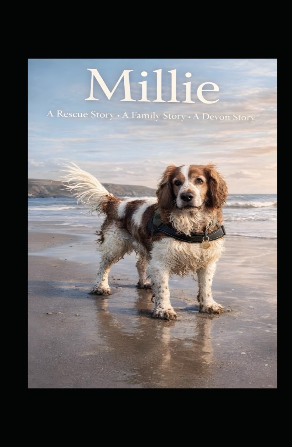 Millie: A Rescue Story . A Family Story . A Devon Story