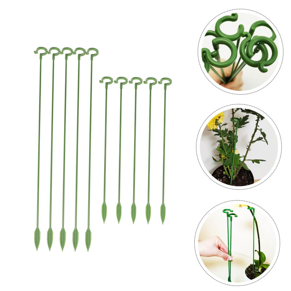 BESPORTBLE 60pièces Supports De Plantes Lot de Tuteurs pour Plantes Pot Piquets Résistant Aux Intempéries pour Fleurs Et Succulentes pour Bonsai