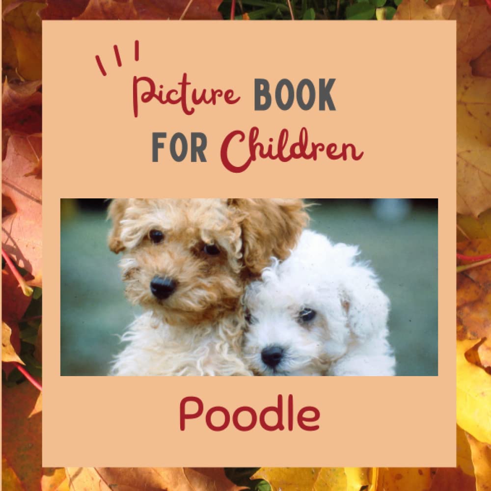 Picture book for children -Poodle: Discovering Poodle in pictures - Children 2 to 5 years old