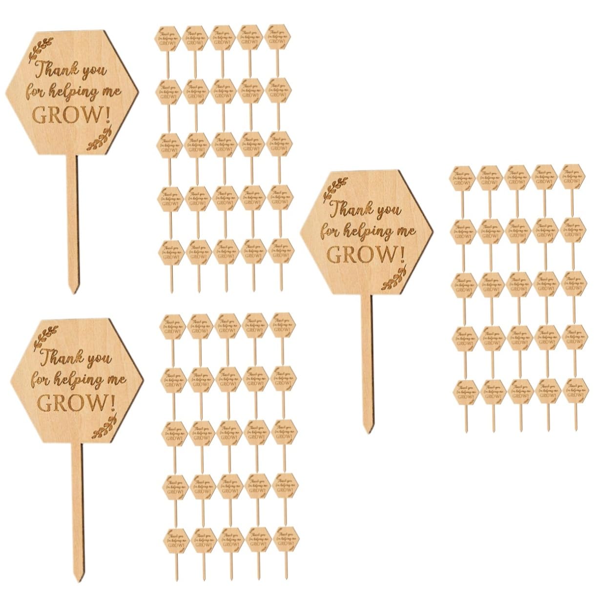 ibasenice 3 Ensembles Étiquette En Bois Étiquettes De La Plante Suspendue Marqueur De Jardin Marqueurs De Plantes De Jardin Étiquettes De Semis Petites Étiquettes De Jardinière 40 Pièces * 3