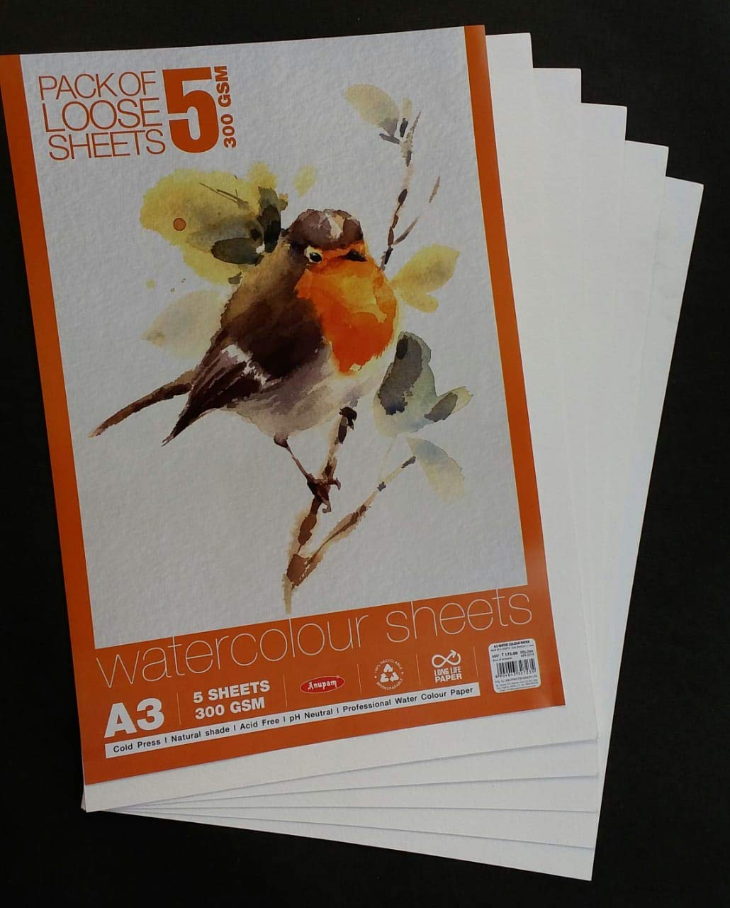 Anupam Professional Watercolour Sheets 300 GSM A3 Size 5 Sheets pH Neutral Acid-Free (B08L54MGD5) Amazon Price History, Amazon Price Tracker