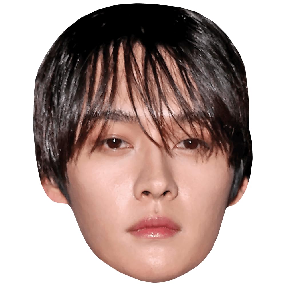 Lee Know (Fringe) Celebrity Mask, Flat Card Face, Fancy Dress Mask