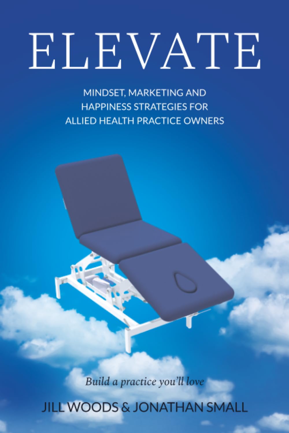 Elevate: Mindset, Marketing, and Happiness Strategies for Allied Health Practice Owners
