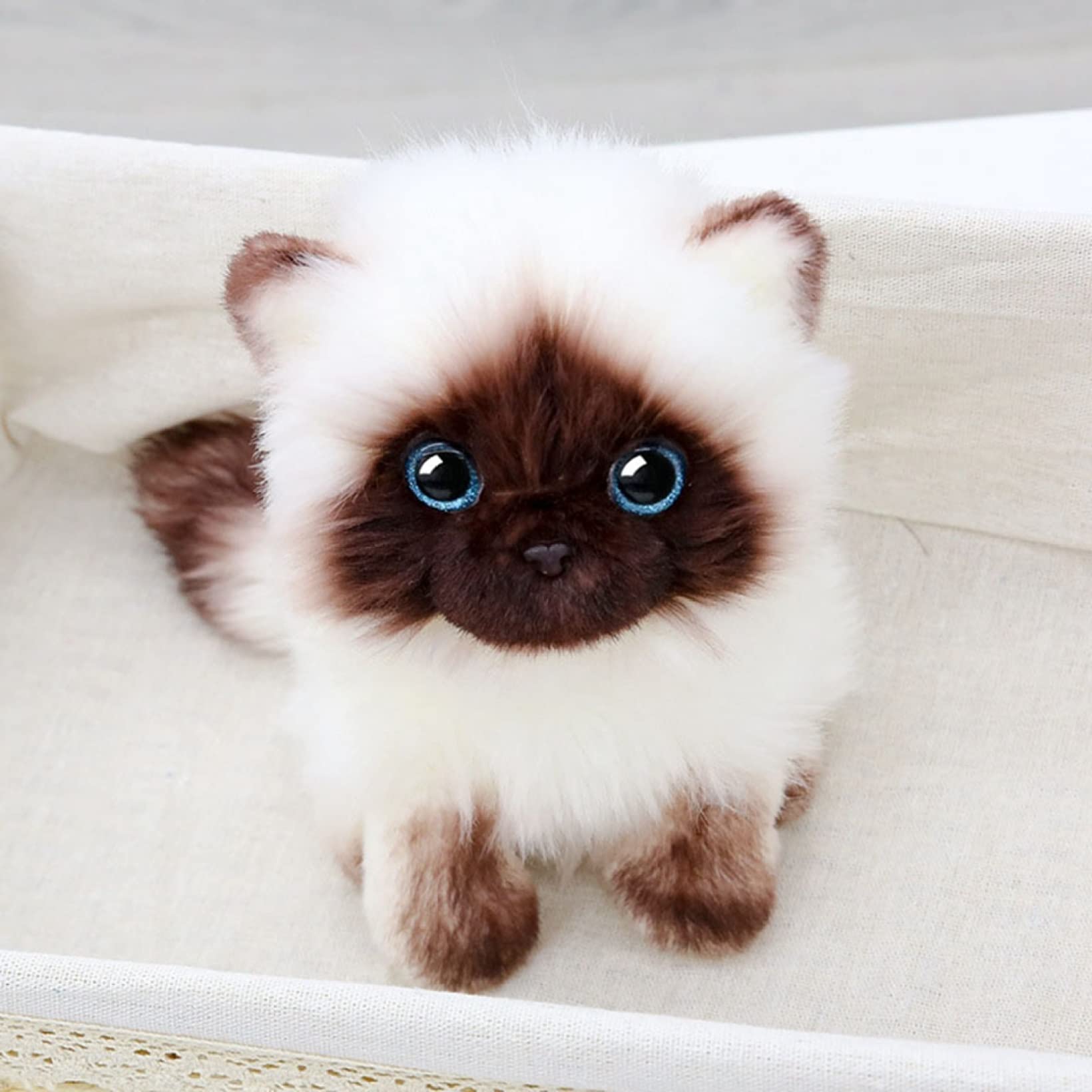 Amazon.co.jp: シャム猫 ぬいぐるみ ねこ おもちゃ かわいい