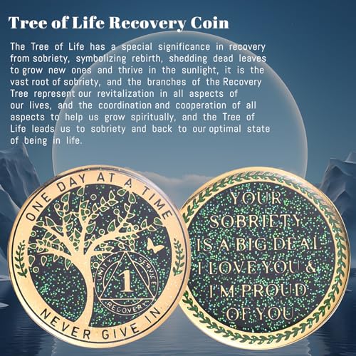 lparkin 1 year sobriety coin tree of life recovery coin aa recovery medallion anniversary token sobriety gifts alcoholics anonymous medallion