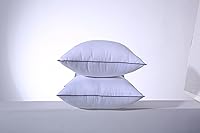 Vista 1 de Sasttie Juego de 2 rellenos de almohada de 18 x 18 pulgadas, almohadas decorativas con relleno de microfibra, rellenos de almohada cuadrados