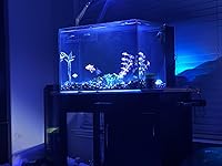 Review Image by Dr. Chetan Sawhney Reviews Dr. Chetan Sawhney Reviews