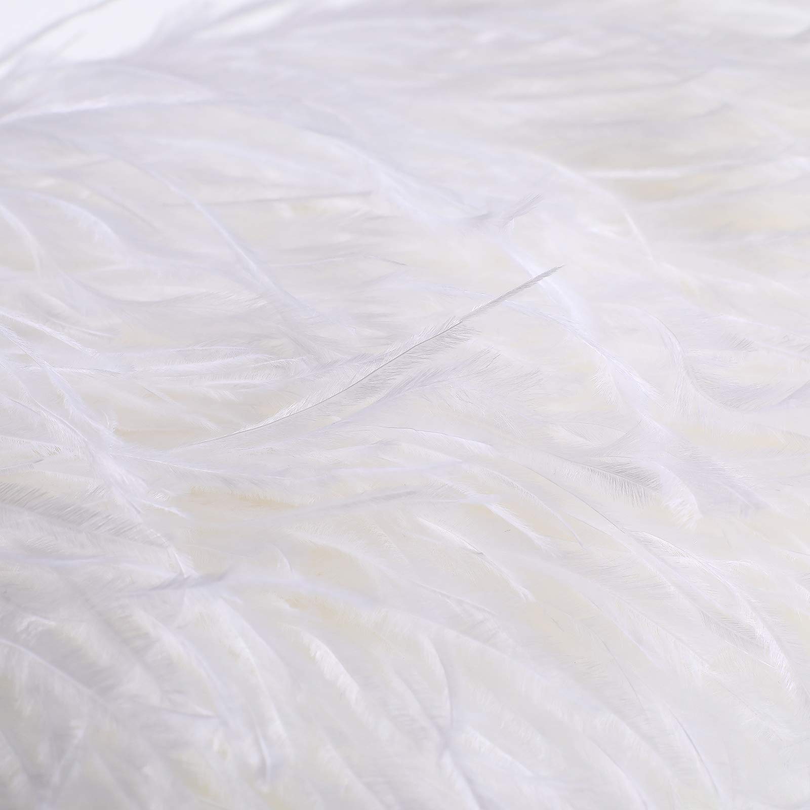 Natural Ostrich Feather Fringe Trim - Feathers Sewing Crafts Decor for Dress Costume 4-6 inches 10 Yards Erikord(White)