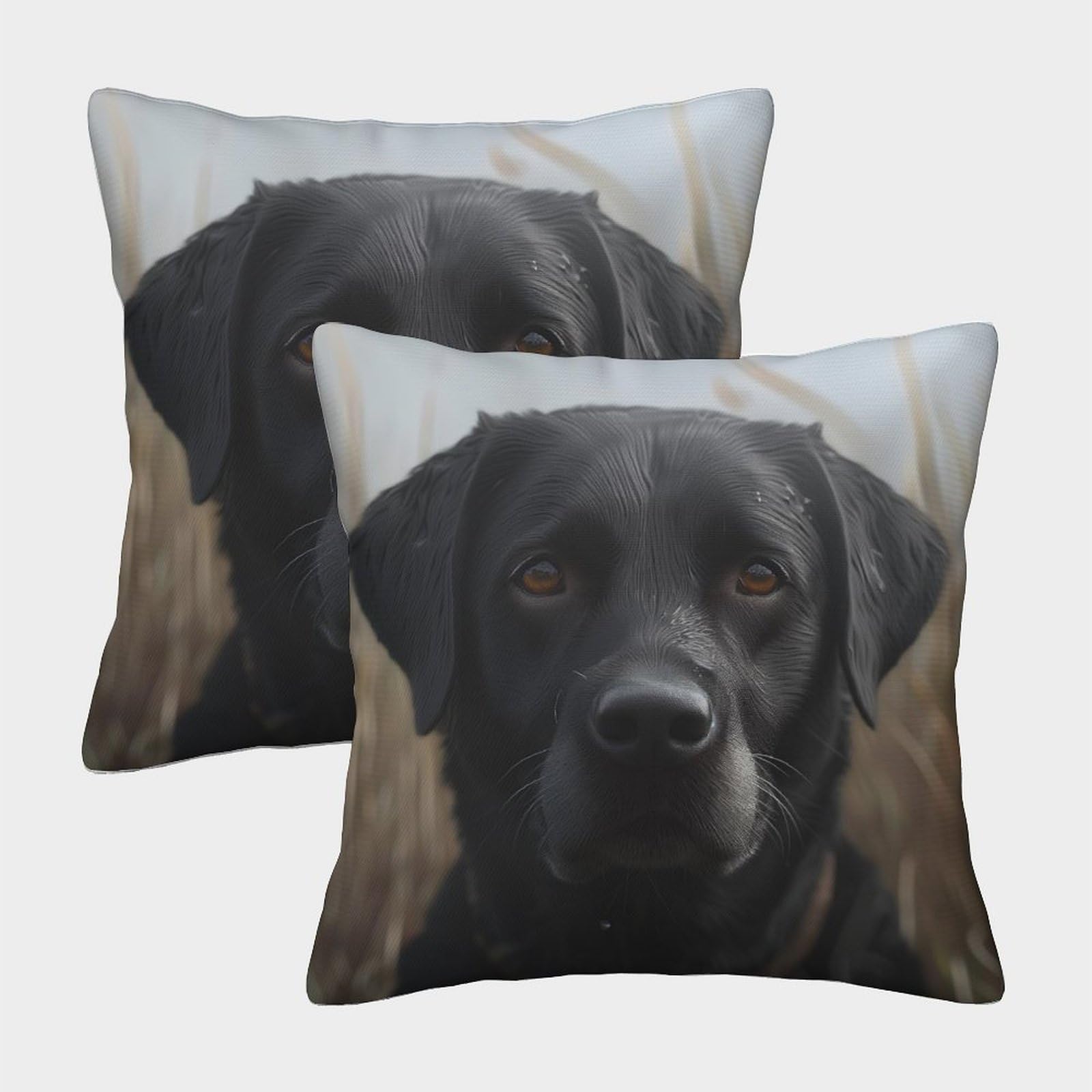GPARSDDIO Labrador Retriever with Invisible Zipper 2pc set Homeware Cushions Decorative Throw Pillow for Living Room Sofa 45x45cm