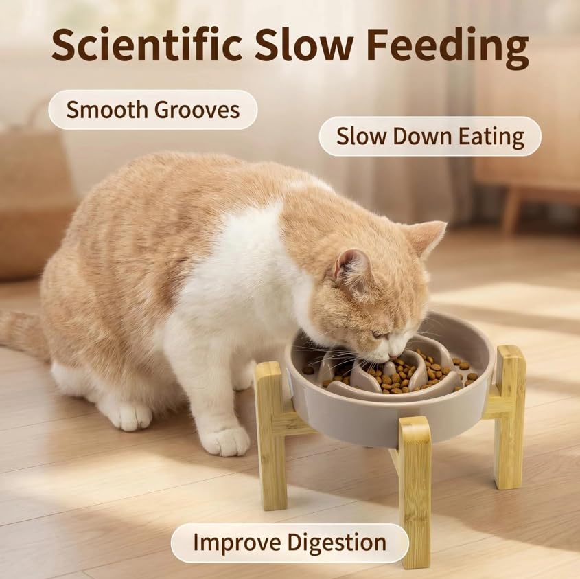 Raised Cat Slow Feeder Ceramic, Anti Vomiting and Whisker Friendly - Image 5