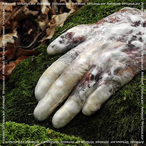 Virtuous.Scr [VINYL] [Vinilo]