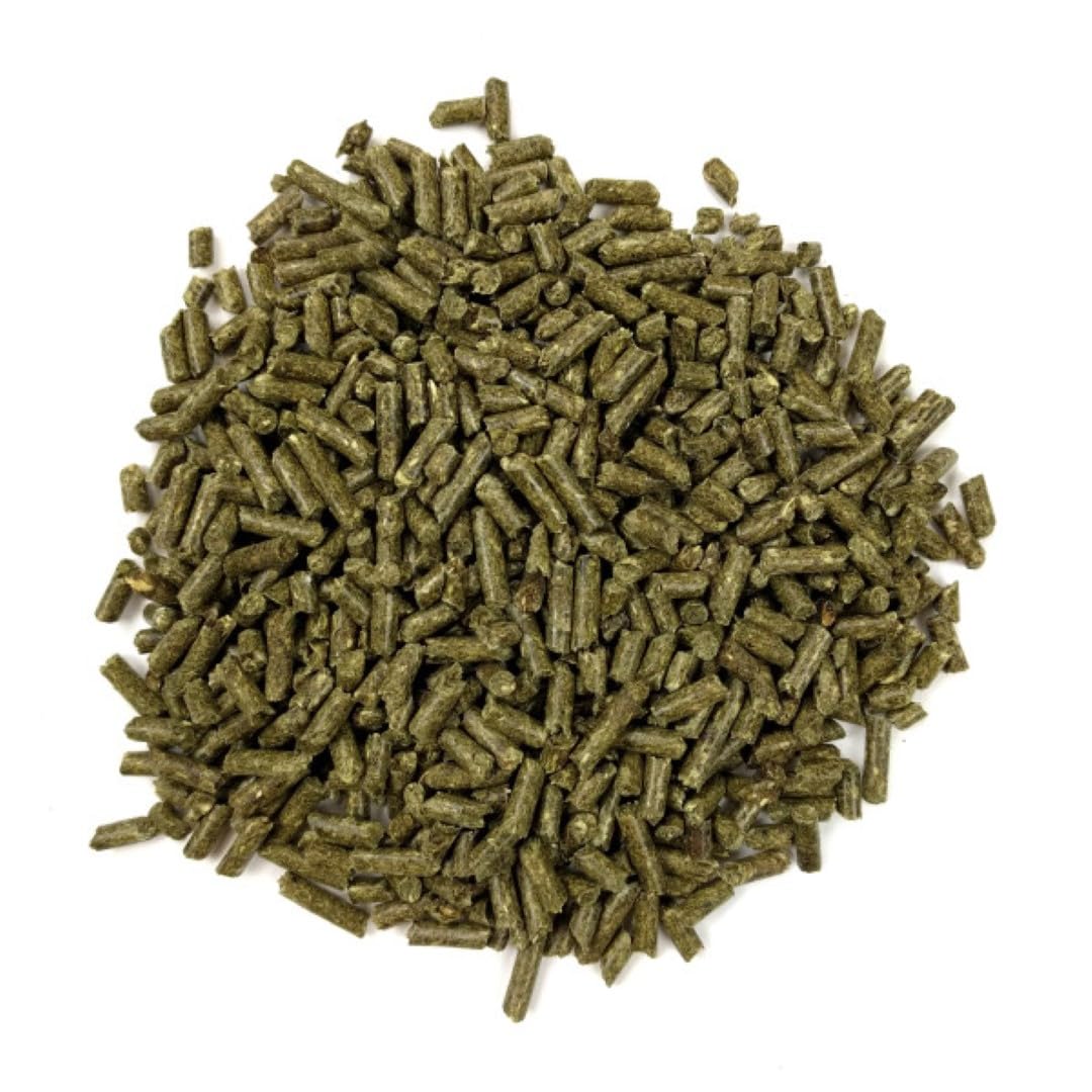 Oxbow Essentials Cibo per cincillà - 1,5 kg