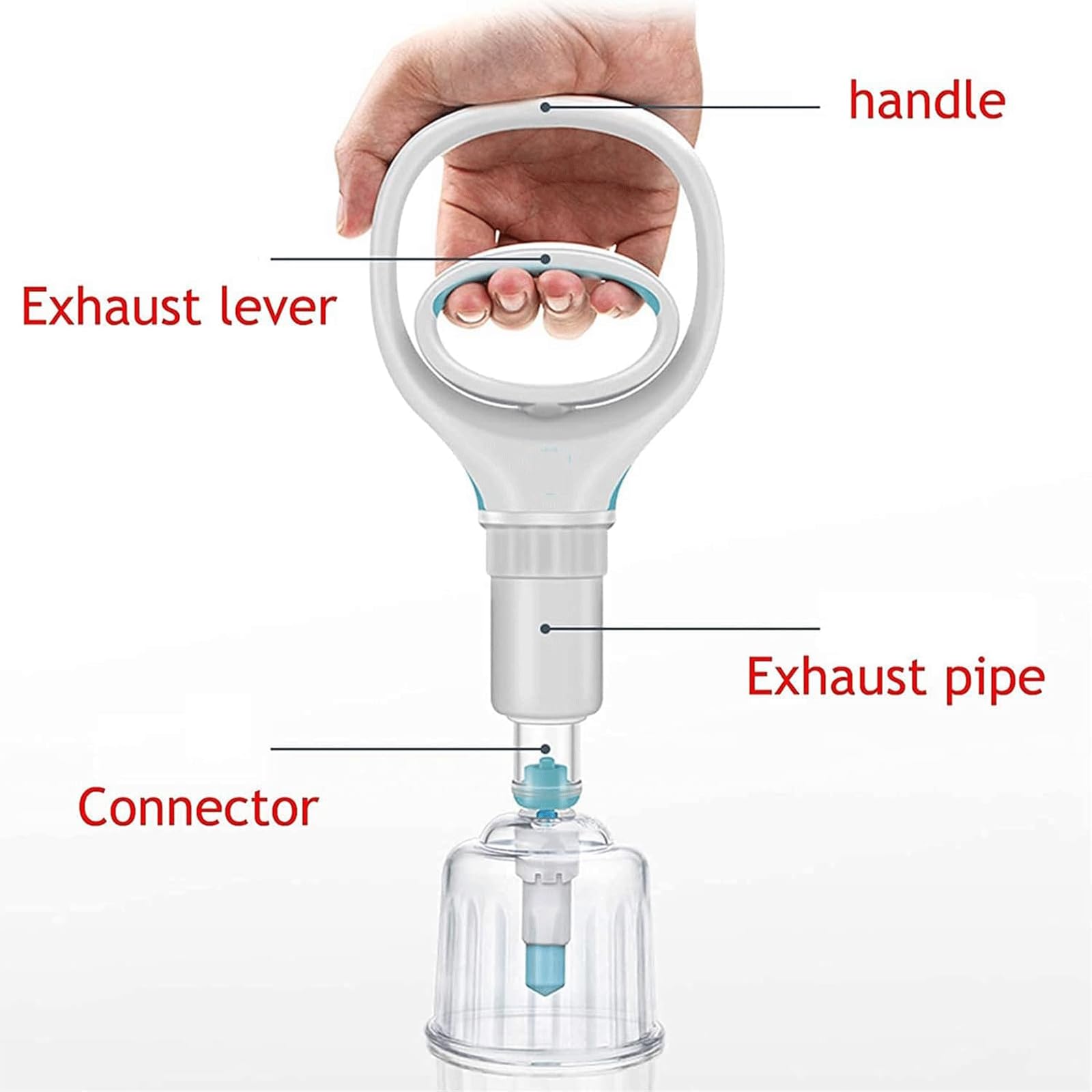Kit massaggiatore per Il Corpo da 12 Tazze Set di Attrezzature per coppettazione Dispositivo per Terapia di aspirazione con coppettazione sottovuoto con Maniglia di pompaggio