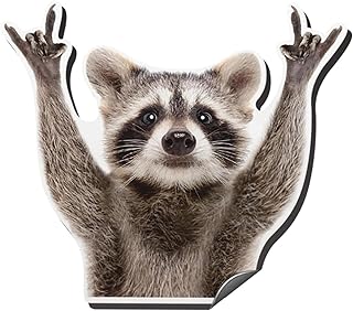 Magnetic Raccoon Car Decal, Rock Hand Sign Design, 5 x 4.3 inyl Reflective Decals Waterproof Funny for Car Bumper Motorcycle