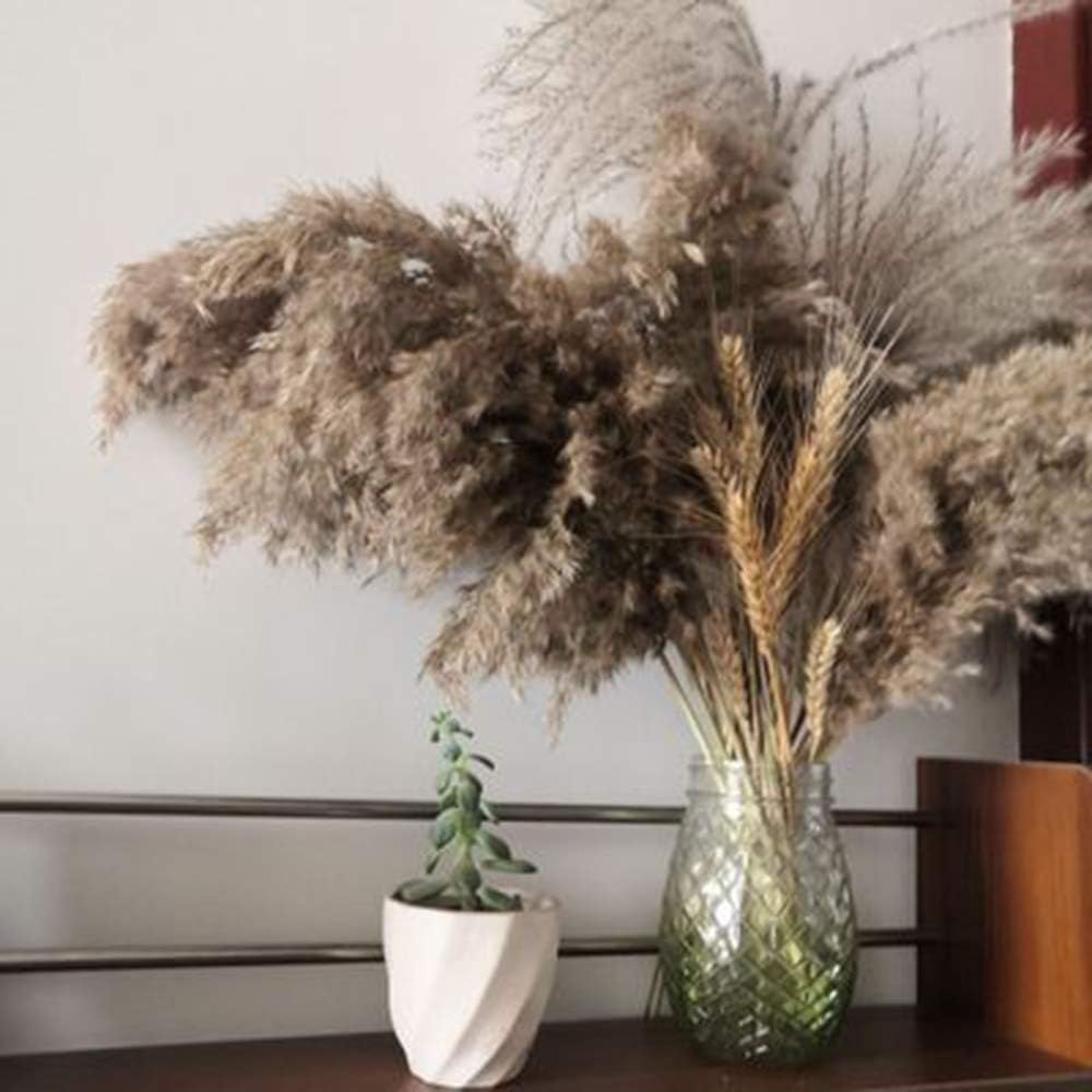 YAOXIE 1 Bunch of 20 pcs Natural Dried Pampas Grass Reed Bouquet Wedding Dry Flower Bunch for Home Party Garden Dry Flowers Decor 50 cm Color Wood