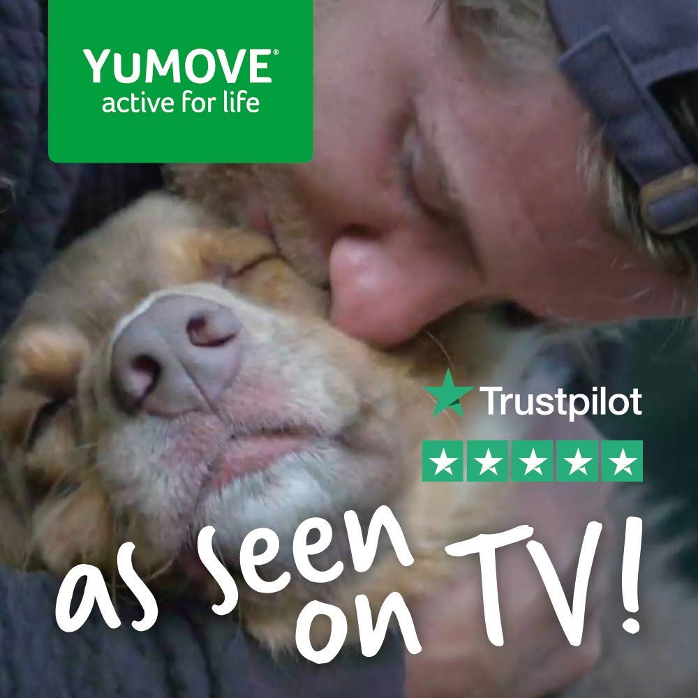 YuMOVE Gelenktabletten Hund Senior + Adult Doppelpack - Pack 240+300 Tabletten - ActivEase Grünlippmuschel Hund - Glucosamin & Chondroitin - Gelenkunterstützung Für Alle Rassen Täglich Im Alltag Fit
