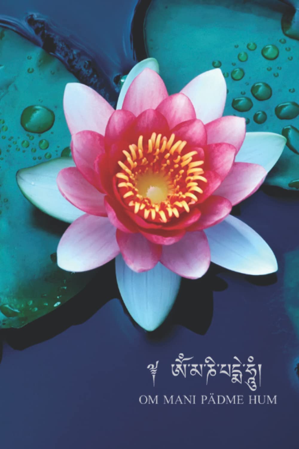 Lotus Om Journal: A Dot-Lined Blank Journal Notebook