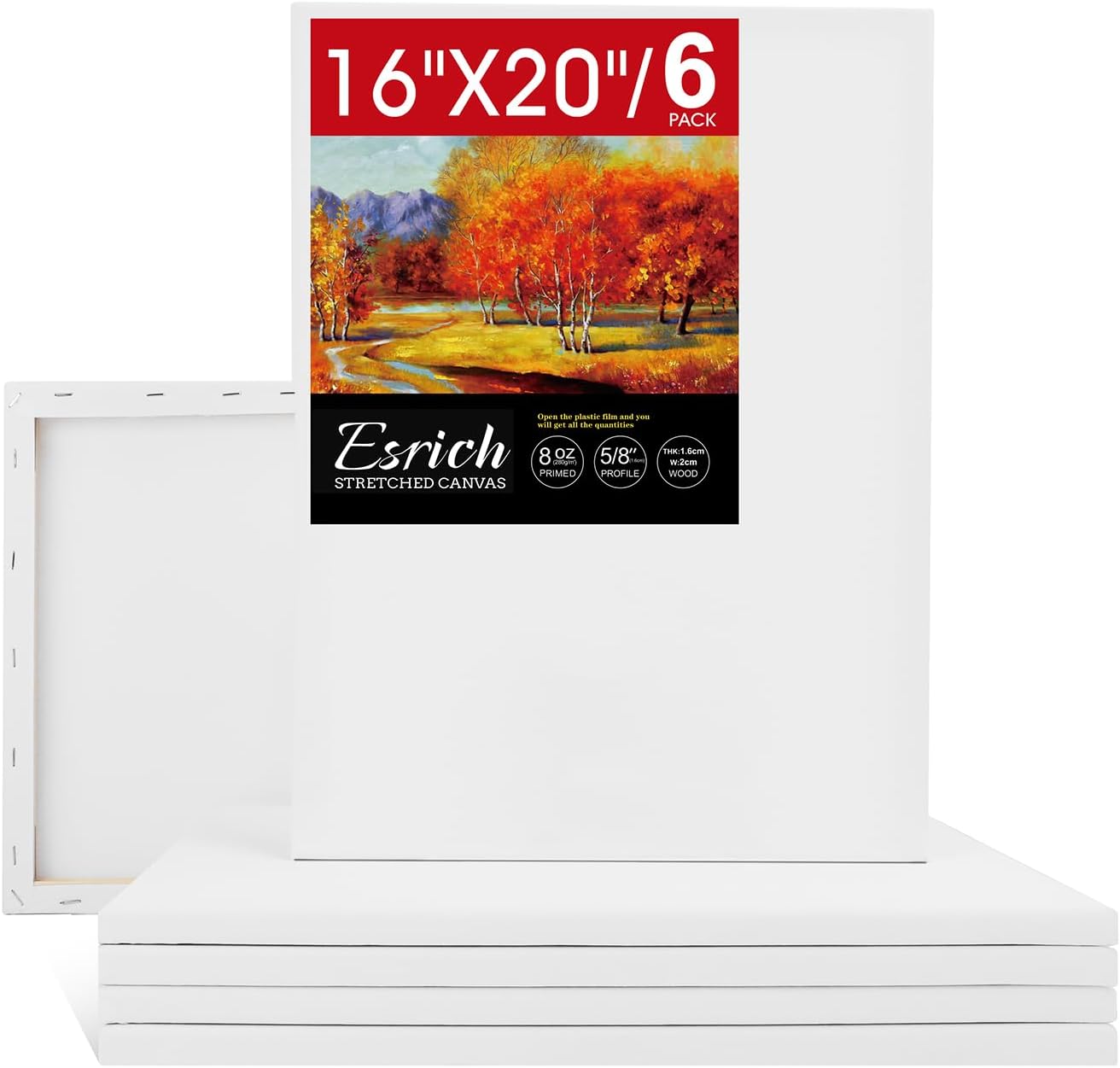 ESRICH Stretched Canvas for Painting 16x20 Inch, 6Pack Large Canvas for Painting, Primed Acid-Free Cotton Blank Canvases, Art Paint Canvases for Oil Paint,Watercolor,Acrylic Paint,Gouache and Tempera. 6 Packs-1Sizes( 16*20in)