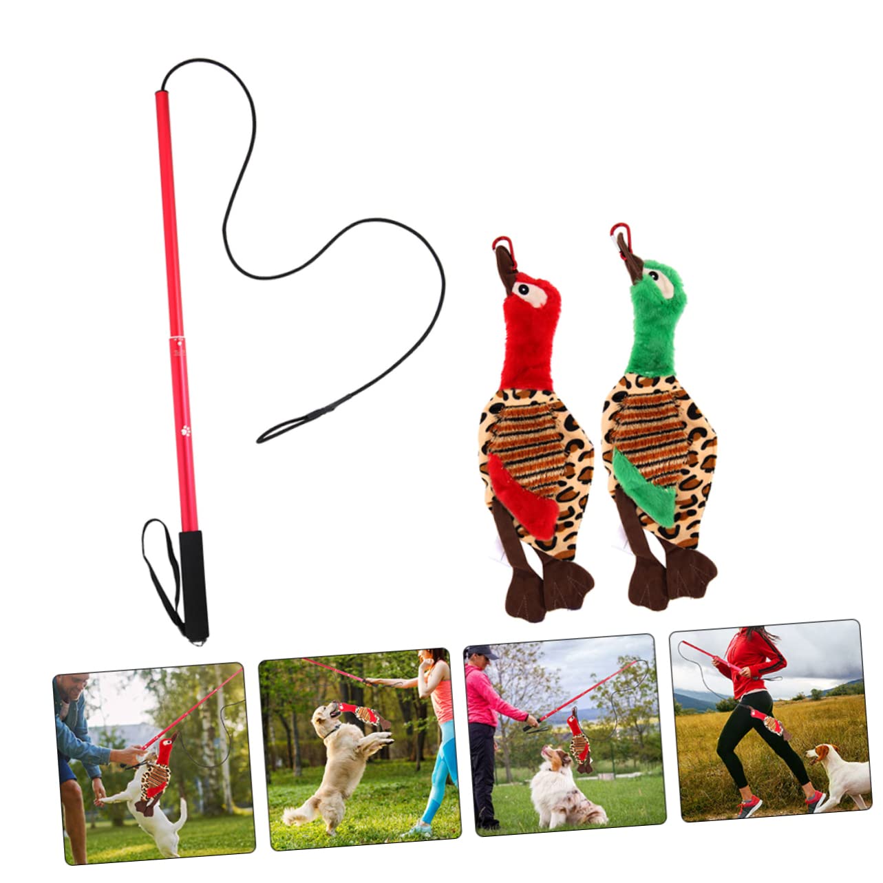 1set Stick Teaser Per Cani e Gatti Gioco Interattivo Per Addestramento Domestico Stimola La Curiosità e Gioco Per Famiglie Con Animali Domestici