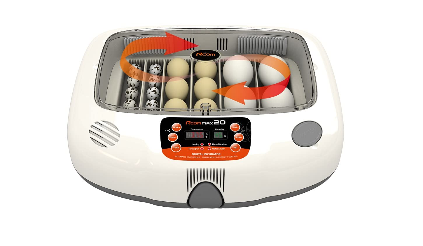 Rcom Automatic Egg Incubator for Hatching Eggs With Automatic Temperature Control, Humidity Sensor, Rcom Max 20, Made in Korea