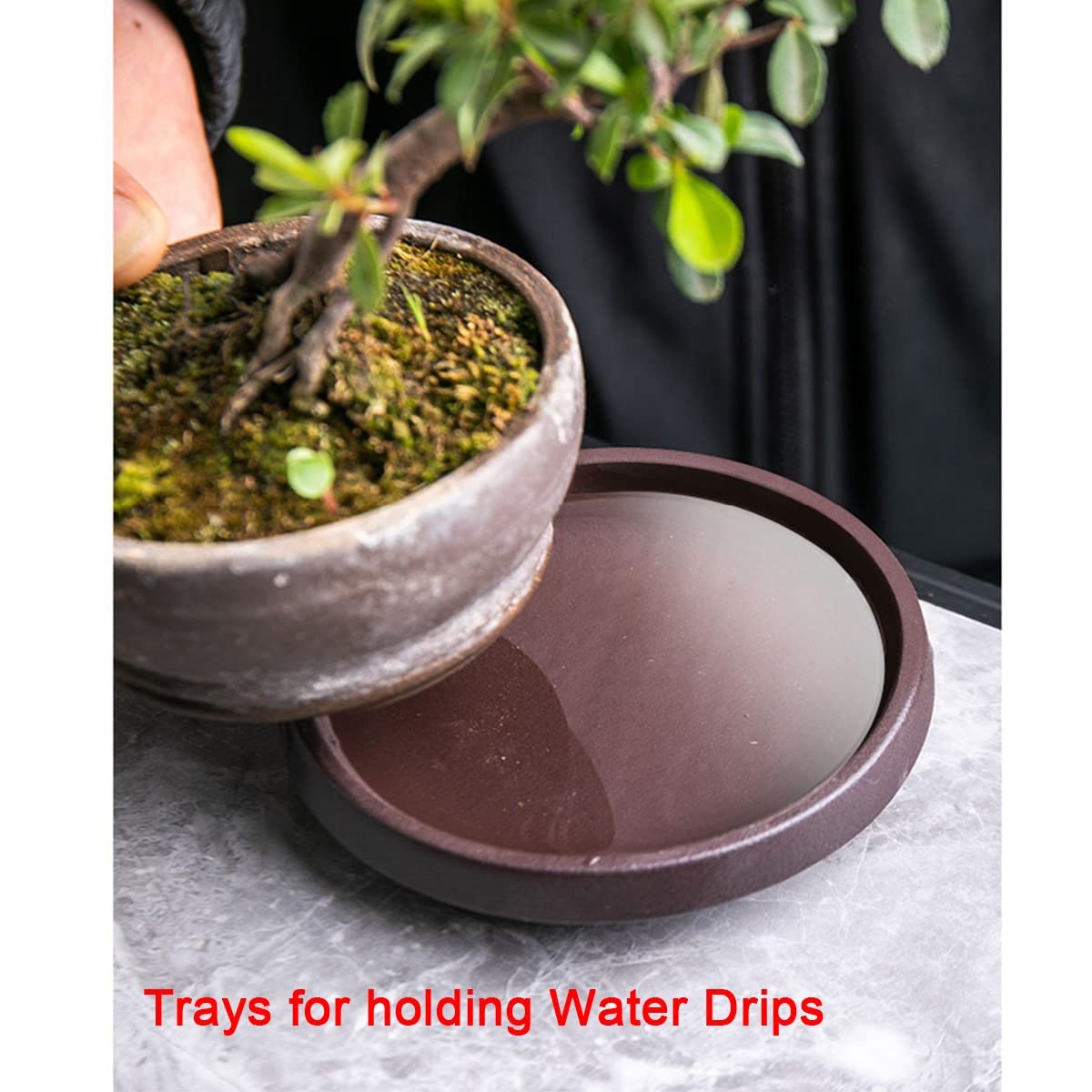 Topftablett Für Den Hausgarten Topf Untersetzer Für Balkon,blumentopf Untersetzer Für Den Innenbereich, Abtropfschale Auf Pflanzenbasis Zum Aufbewahren Von Wassertropfen Und Erde (Size : 10cm) Garten