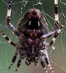 Review Image by Randy