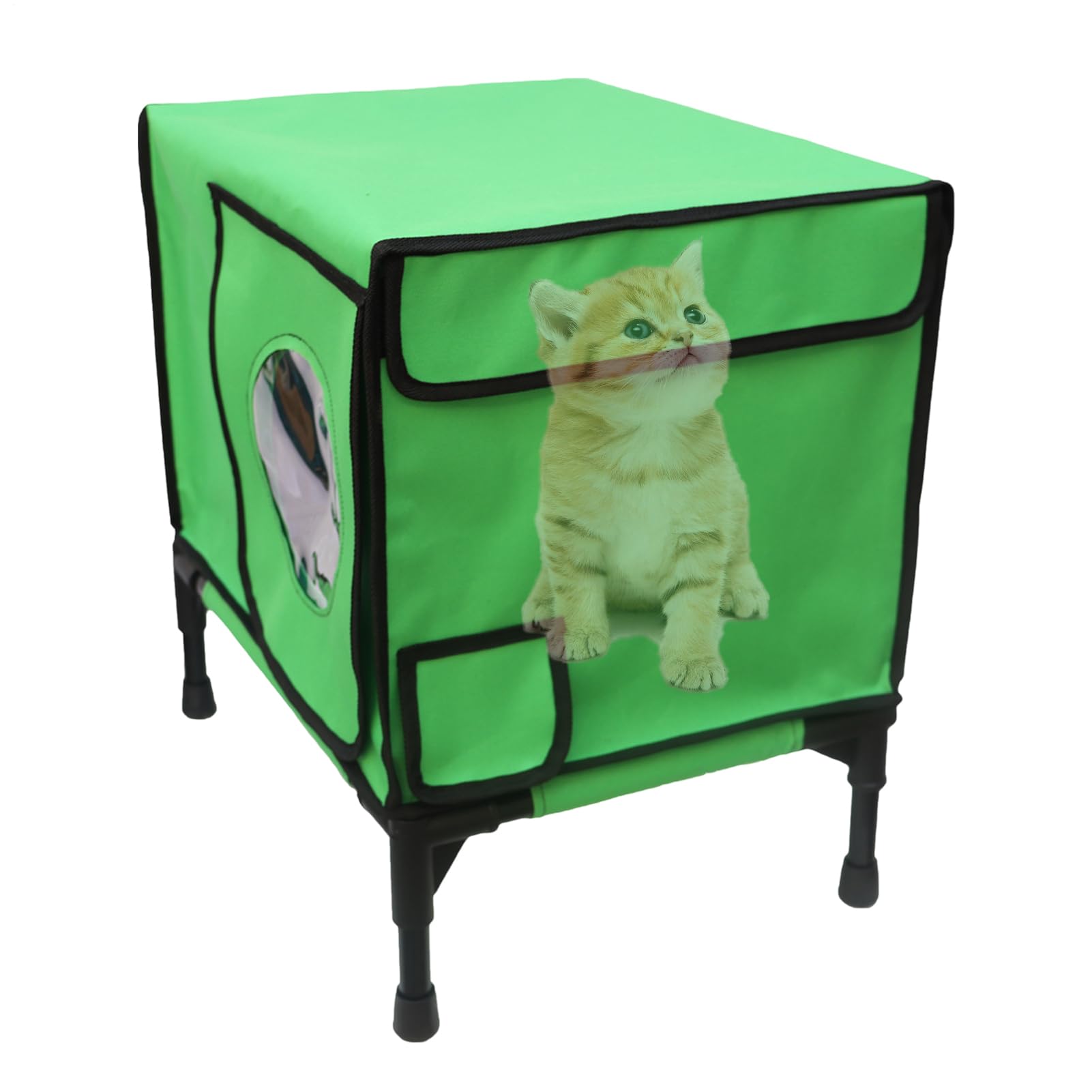 Wildes Katzenhaus für Winter, Außendoor Feral Cat House Isoliertes