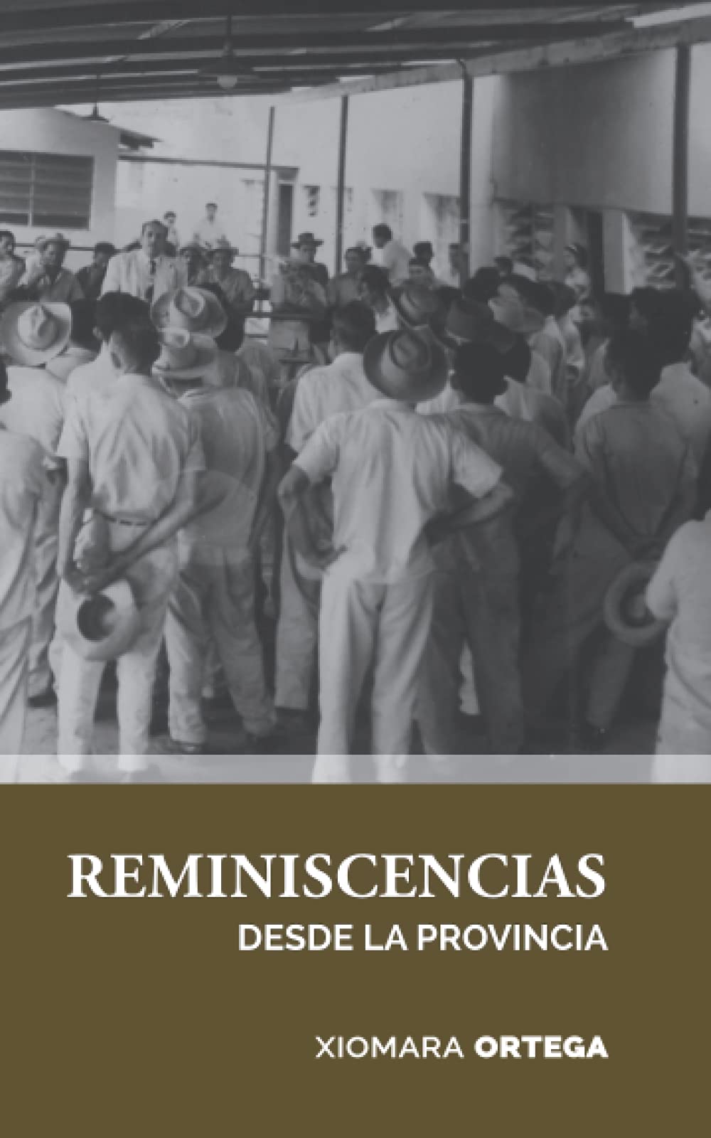 Reminiscencias desde la provincia (Spanish Edition)