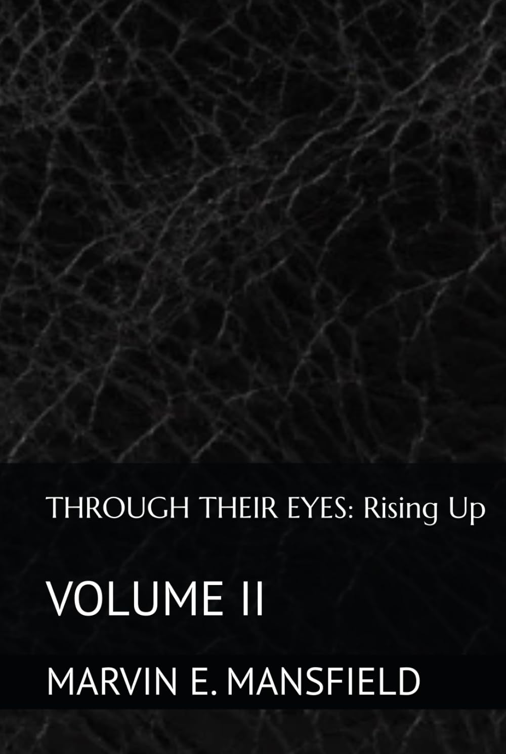 THROUGH THEIR EYES: Rising Up: VOLUME II (THROUGH THEIR EYES: Four Centuries of African-American Life)