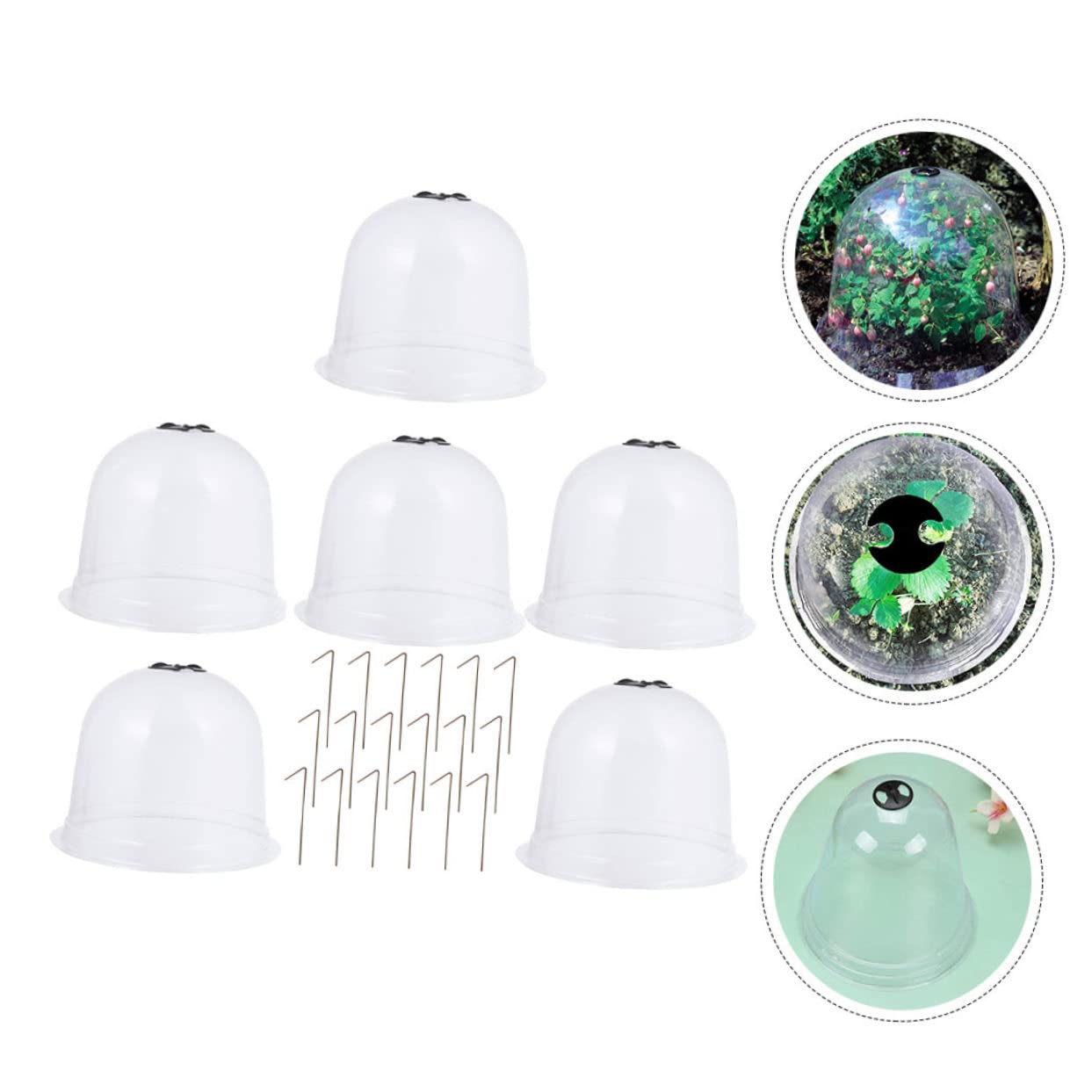 Milisten Cloches de pour Plantes de Pépinière Cloches pour Fleurs de Jardin Petites Plantes