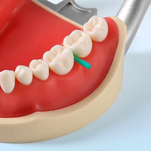 Miniatura 3 de JMU Cuñas de madera dentales, 100 piezas desechables de madera coloridas, color verde (0.059 x 0.079 x 0.551 in)